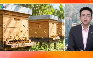 Bản tin thời tiết 5h30 - 27/10/2026