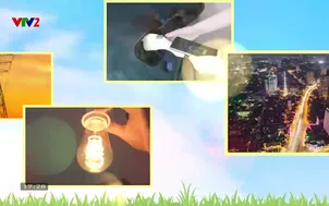 Năng lượng và cuộc sống: Nhiên liệu sinh học xanh hóa kinh tế