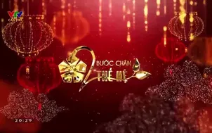 Bước chân hai thế hệ - 12/11/2023