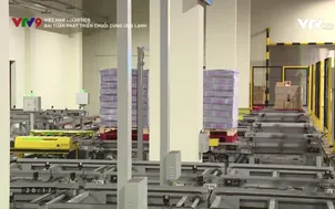 Việt Nam Logistics: Bài toán phát triển chuỗi cung ứng lạnh