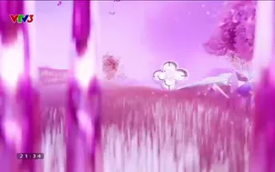 Tết đẹp - 11/02/2024