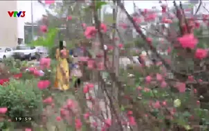 Lướt trên VTVGo - 21/02/2024