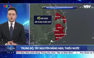 Thời sự 19h VTV1 - 20/3/2024