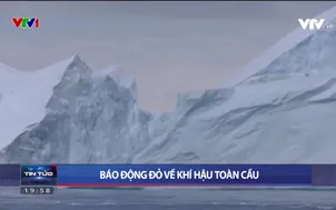 Thời sự 20h VTV1 - 20/3/2024