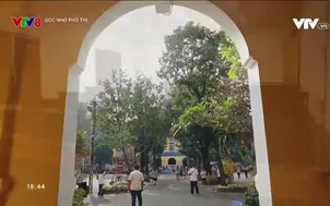 Góc nhỏ phố thị: Những bông hoa của thành phố