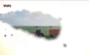 Nông dân hiện đại:	Trồng hoa công nghệ cao