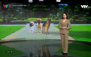 Nông nghiệp mới - 06/4/2024