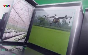 Nông nghiệp mới - 11/5/2024