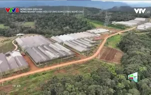 Nông dân hiện đại: Nông nghiệp xanh với mô hình hữu cơ ứng dụng công nghệ cao
