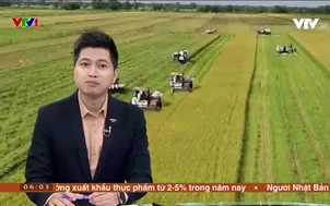 Miền Tây hôm nay sáng - 22/4/2024 (Test)