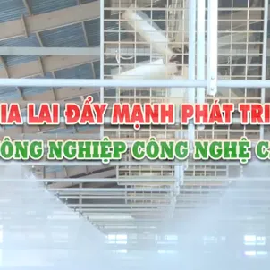 Gia Lai đẩy mạnh phát triển nông nghiệp công nghệ cao