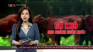 360 độ thị trường - 02/4/2025