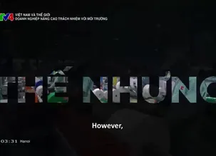 Việt Nam và Thế giới: Doanh nghiệp nâng cao trách nhiệm với môi trường