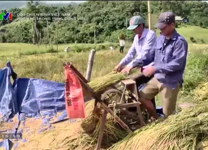Cựu chiến binh Việt Nam: Học Bác trong từng công việc