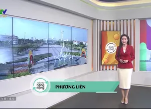 Miền Tây năng động: Bạc Liêu - Số 4