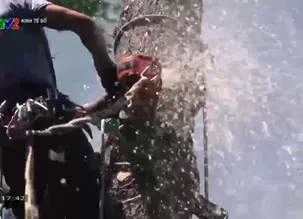 Kinh tế số 2024 - Số 6