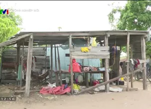 Nông nghiệp mới - 22/6/2024