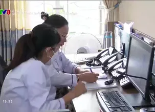 A lô Đô thị: Giải pháp phát triển cây xanh đô thị Đà Nẵng