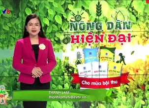Nông dân hiện đại: Trang trại nông nghiệp hữu cơ tuần hoàn