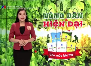 Nông dân hiện đại: Thừa Thiên Huế cấp mã số vùng trồng
