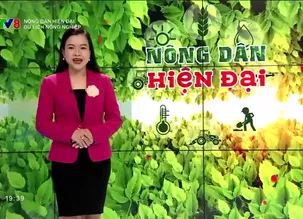 Nông dân hiện đại: Du lịch nông nghiệp
