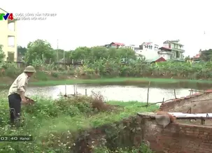 Cuộc sống vẫn tươi đẹp: Vui sống mỗi ngày