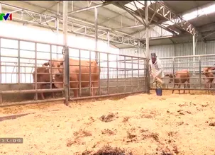 Nông nghiệp mới - 20/7/2024