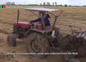 Việt Nam và Thế giới: Ngành lúa gạo giảm phát thải, hướng tới kinh tế xanh