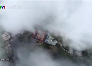 Tác phẩm mới: Có một mái đầu tóc bạc