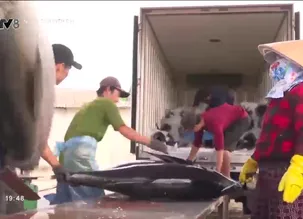 Nông dân hiện đại: Ứng dụng công nghệ cao trong bảo quản thủy sản còn gặp khó