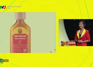 Khi phụ nữ làm chủ	- 01/8/2024