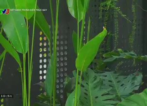 Nét xanh trong kiến trúc nay: Biệt thự mang hơi thở của vườn nhiệt đới