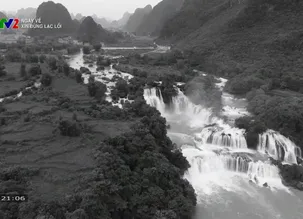 Ngày về: Xin đừng lạc lối