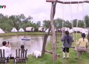 Rong ruổi phương Nam: Trải nghiệm một ngày cắm trại tại thành phố Thủ Đức