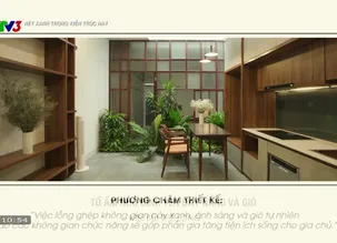 Nét xanh trong kiến trúc nay: Tổ ấm nhỏ bình yên đầy nắng và gió