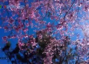 Rong ruổi phương Nam: 	Một ngày ở Lạc Dương