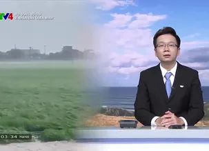 Núi sông bờ cõi: 		Vì nhân dân quên mình