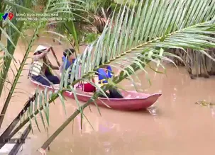 Rong ruổi phương Nam: Giồng Trôm, hồn quê nơi xứ dừa