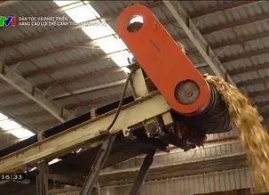 Dân tộc và phát triển: 		Nâng cao lợi thế cạnh tranh ngành gỗ