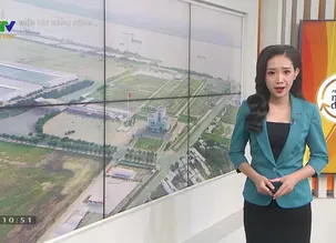 Miền Tây năng động: Long An - Số 3