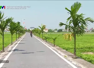 Phát huy vai trò của mặt trận: Mặt trận hướng về cơ sở