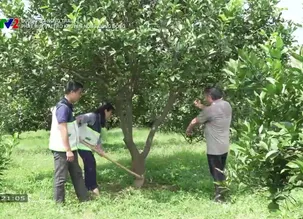 Đường tới nông trại: Phát huy vai trò khuyến nông cộng đồng