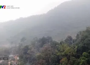 Chất Việt: Hành trình xơ sợi