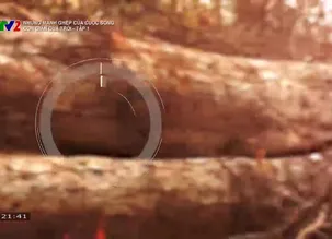 Những mảnh ghép của cuộc sống: Cơn giận của trời - Tập 1