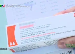 Chất lượng cuộc sống: Vắc xin phòng zona thần kinh, thủy đậu