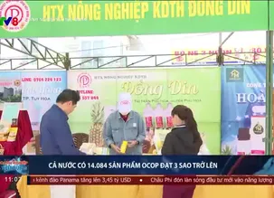 Doanh nghiệp và tiêu dùng - 29/10/2024
