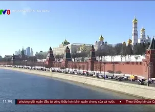 Doanh nghiệp và tiêu dùng - 30/10/2024