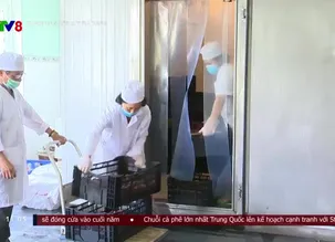 Doanh nghiệp và tiêu dùng - 01/11/2024