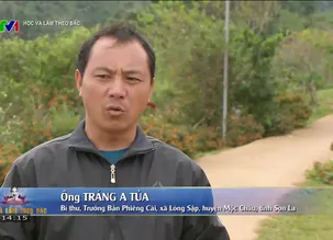 Học và làm theo: Sáng tạo trong làm theo Bác