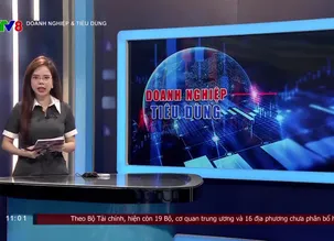 Doanh nghiệp và tiêu dùng - 04/11/2024